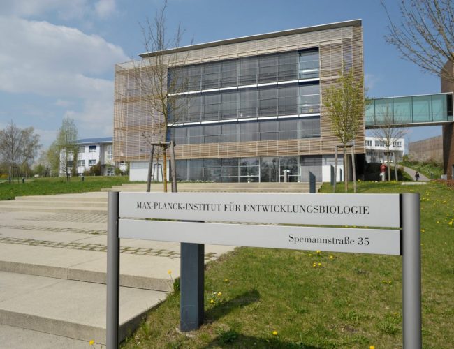 Max Planck Institut Sonnenschutz